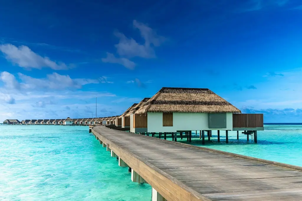 Pullman Maldives Maamutaa image 19