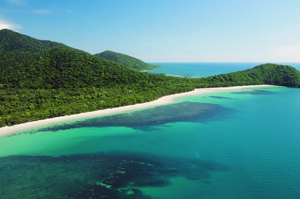 mist at Cape Tribulation image 1