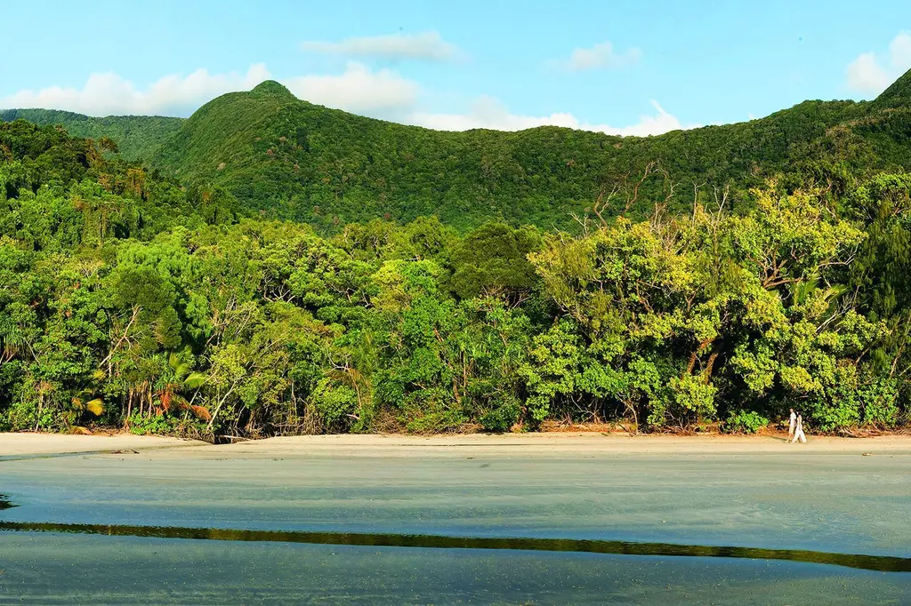 mist at Cape Tribulation image 6