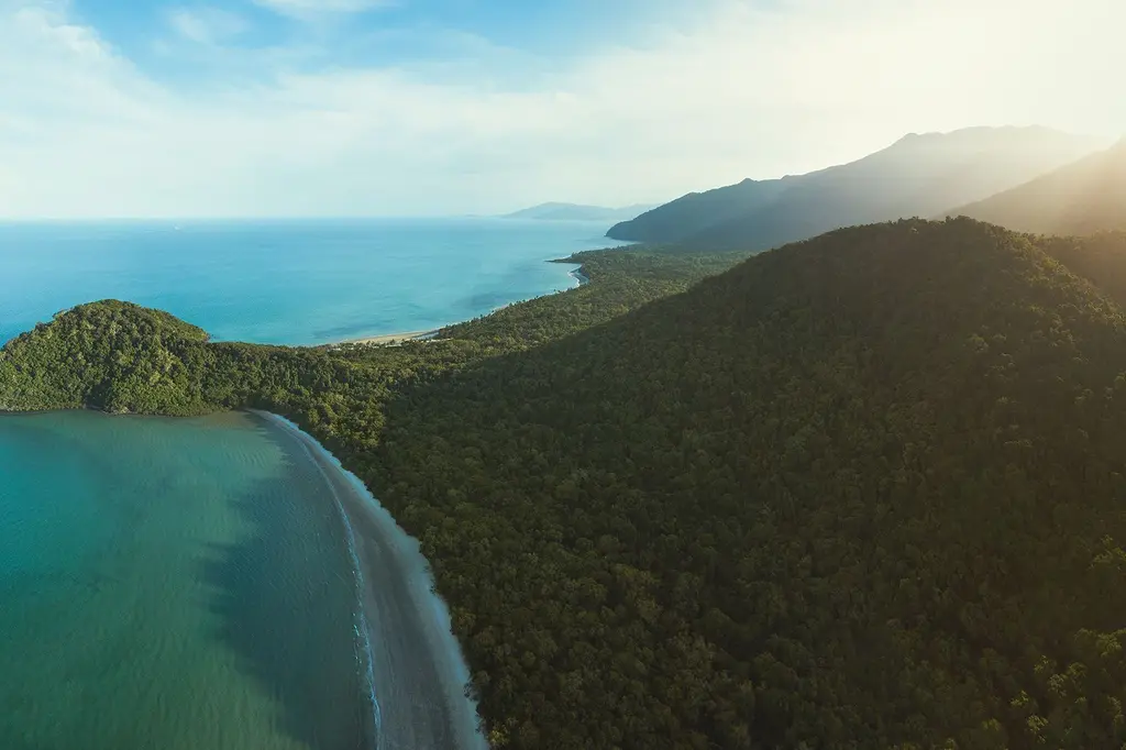 mist at Cape Tribulation image 10