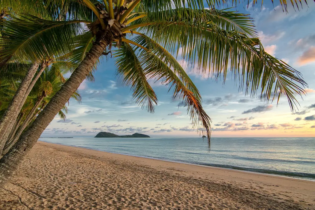 Drift Palm Cove image 8